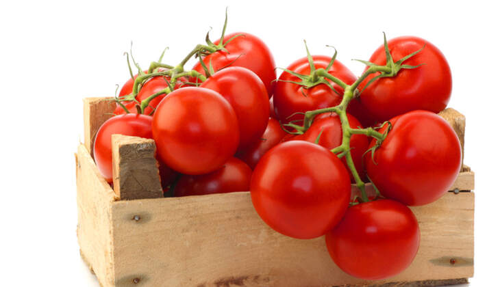Obst und gemüse kennenlernen