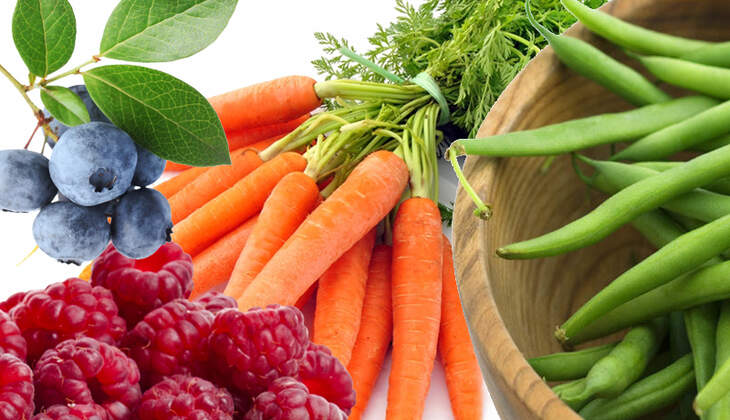 Obst kennenlernen